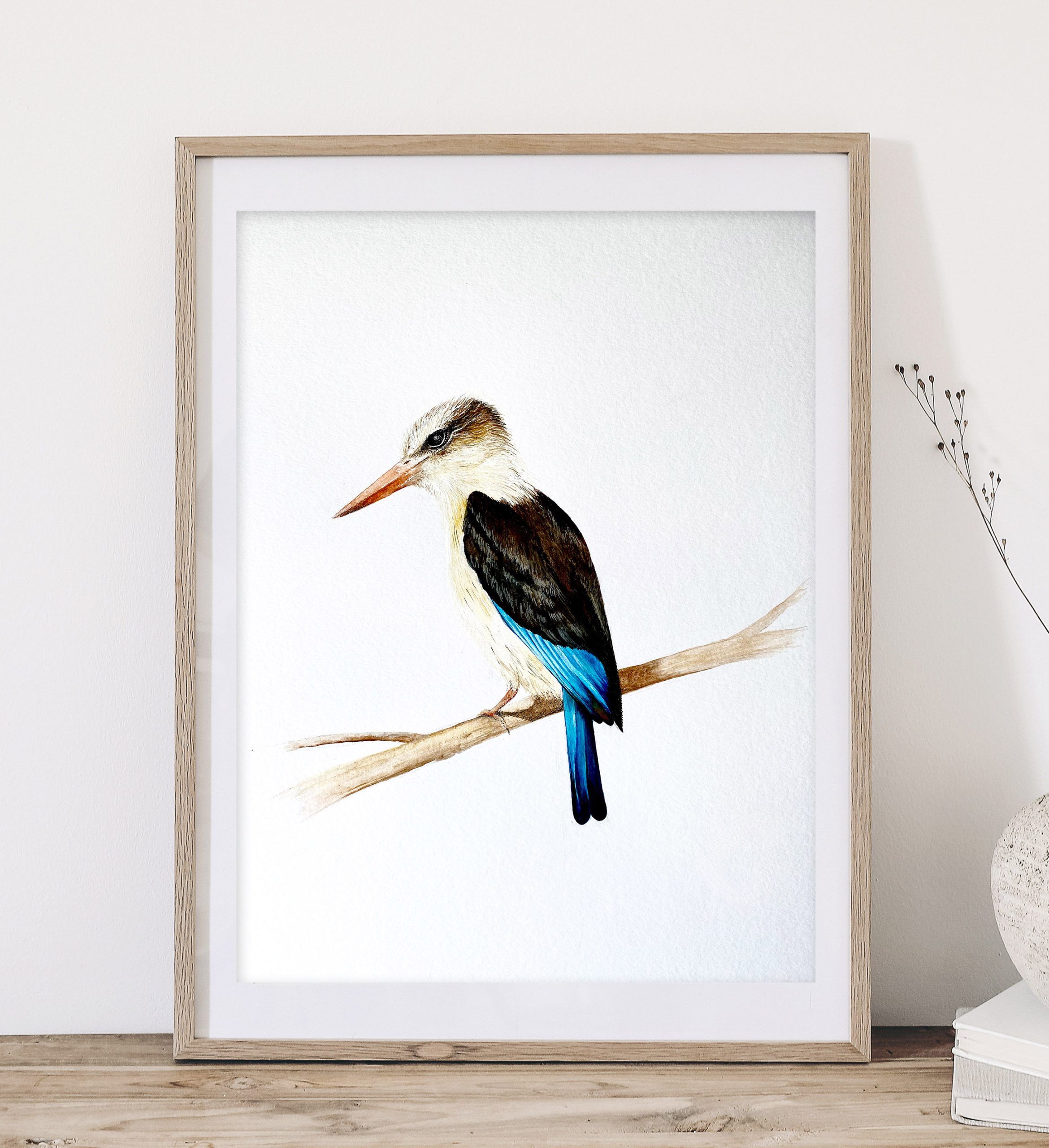 Brown Hooded Kingfisher